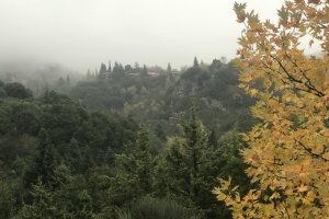 Όλες