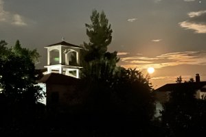 Όλες
