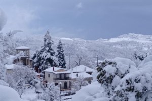 Όλες
