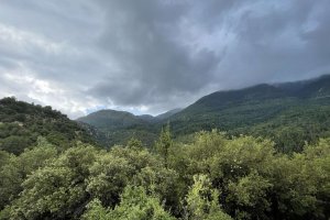 Όλες