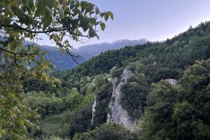 Όλες