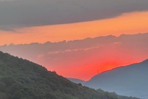 Όλες