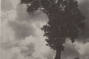 Όλες