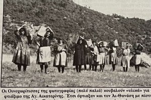 Όλες