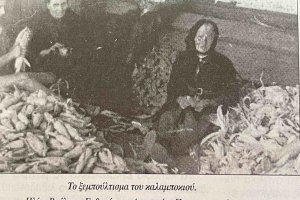 Όλες