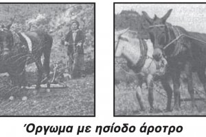 Όλες