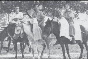Όλες
